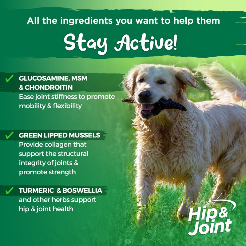 Vital Planet - Hip and Joint Soft Chews for Dogs, with Glucosamine, MSM, and Collagen from Green-Lipped Mussel - 30 Bacon Flavored Soft Chews - Image 3